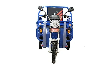 Электротрицикл TaiLG TL1000