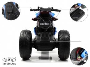 Детский электротрицикл Rivertoys X222XX