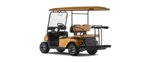 Гольф кар EWAY HM2+2