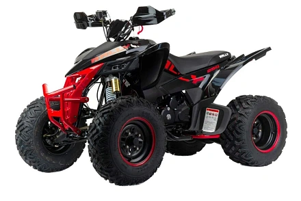 Квадроцикл Motoland 250 RALLY