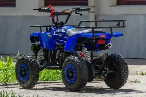 Квадроцикл WELS ATV THUNDER MINI 2T