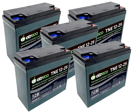 Комплект тяговых аккумуляторов Eltreco TNE12-25 (60V21A/H C3)