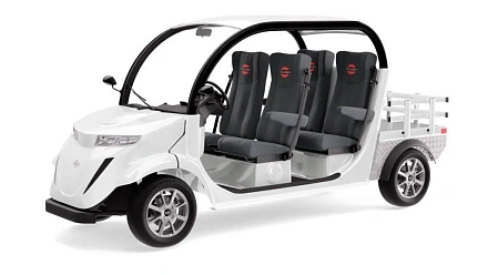 Гольфкар Elecar 5E-TIGARBO 4G