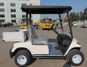 Гольфкар Green Camel A2C (2+C, 4kW AC, R10)