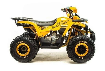 Квадроцикл Motoland (п) 125 WILD X