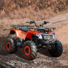 Квадроцикл WELS THUNDER AX 125 PRO