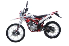 Кроссовый мотоцикл Питбайк WELS MX250R для начинающих