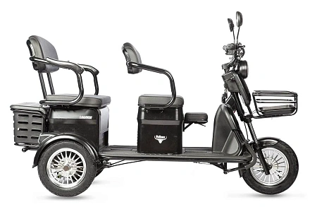 Электротрицикл Rutrike Караван пассажирский