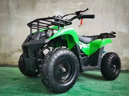 Квадроцикл Motax ATV Basic X16