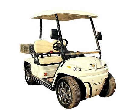 ГОЛЬФКАР КОНКОРДИЯ URBIS 2 С КУЗОВОМ