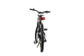 Электровелосипед E-motions Golden Motor 1000W