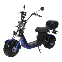 Электроскутер SKYBOARD Volga BR20 2WD 4000W