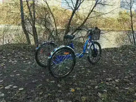 Электровелосипед Horza Stels Trike 24-T2