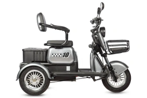 Электротрицикл Rutrike Бумеранг
