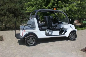Гольфкар Elecar 5E-TIGARBO 4+2