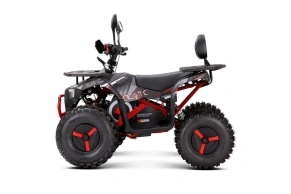 Квадроцикл YACOTA SIRIUS 2000W