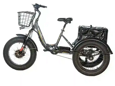 Трехколесный электровелосипед E-motions PANDA