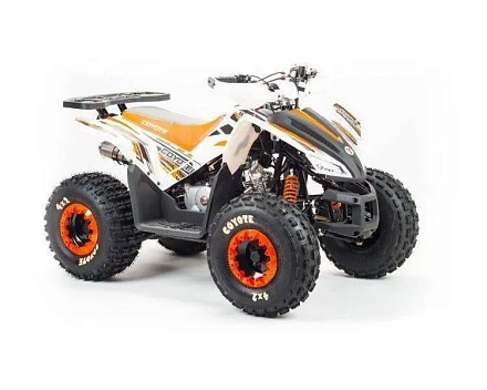 Квадроцикл Motoland 125 COYOTE