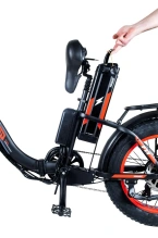 Электровелосипед Minako F11 Dual