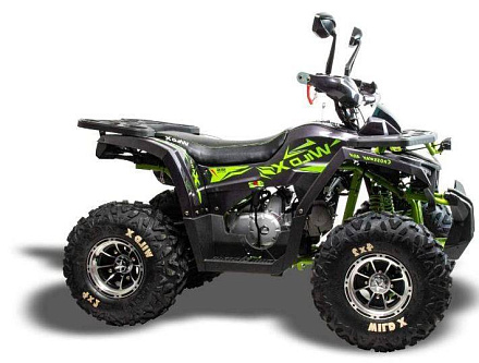 Квадроцикл Motoland (п) 125 WILD X PRO (2022 г.)