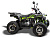 Квадроцикл Motoland (п) 125 WILD X PRO (2022 г.) - превью
