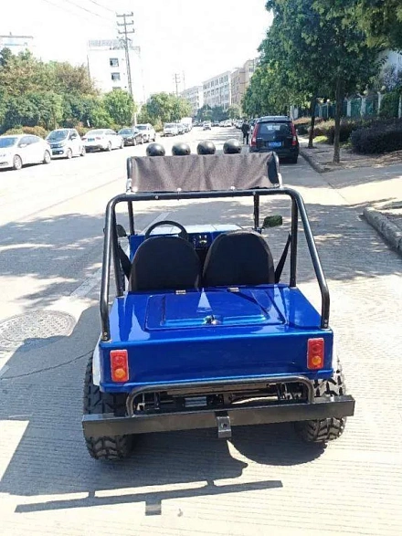 Электромобиль Green Camel Джип (60V 1500W R8 Дифференциал)