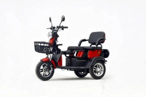 Трицикл Green Camel Фродо X7 PRO (60V 800W) дифференциал