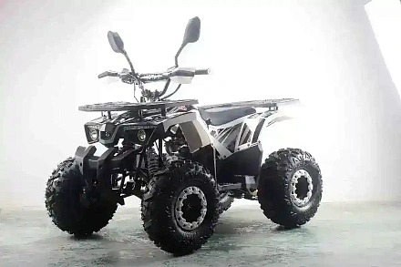 Квадроцикл MOTAX ATV Grizlik 125 cc