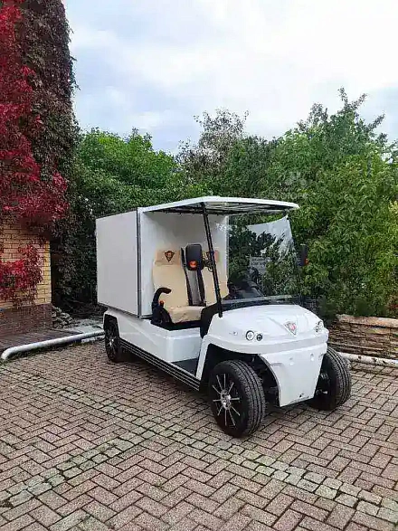 ГОЛЬФКАР КОНКОРДИЯ URBIS 2 СУПЕРКАРГО ФУРГОН