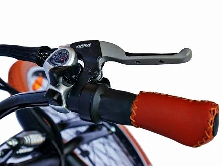 Электровелосипед Elbike SHADOW