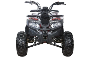 Квадроцикл YACOTA FUSION 125