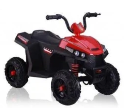 Детский электроквадроцикл Rivertoys T111TT