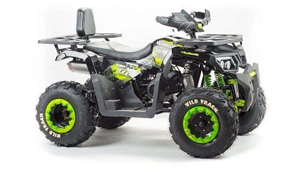 Квадроцикл Motoland 200 WILD TRACK