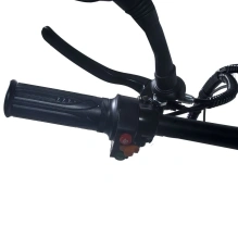 Электровелосипед Jetson F20 BIZON (48V13Ah)