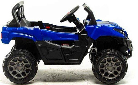 Электромобиль Motoland C009