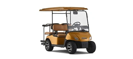 Гольф кар EWAY HM2+2