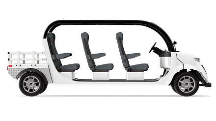 Гольфкар Elecar 5E-TIGARBO 6G