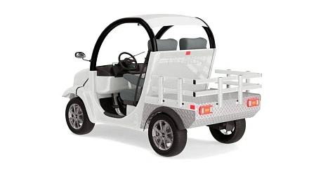 Гольфкар Elecar 5E-TIGARBO 2G