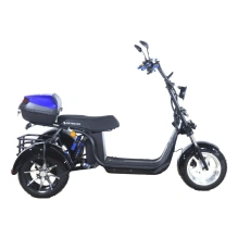 Электроскутер SKYBOARD CITYCOCO MyRussia BR60 3000W с корзиной