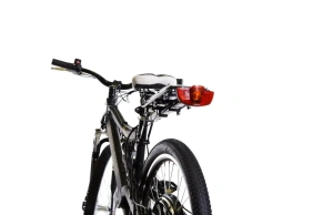 Электровелосипед E-motions Golden Motor 1000W