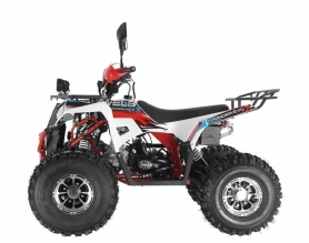 Квадроцикл Wels Thunder EVO X