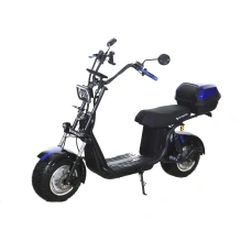 Электроскутер Skyboard BR30-2WD (Ural)
