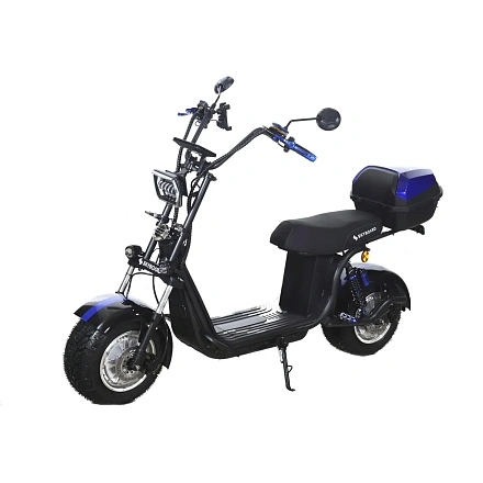 Электроскутер Skyboard BR30-2WD (Ural)