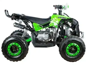 Квадроцикл YACOTA RENEGADE