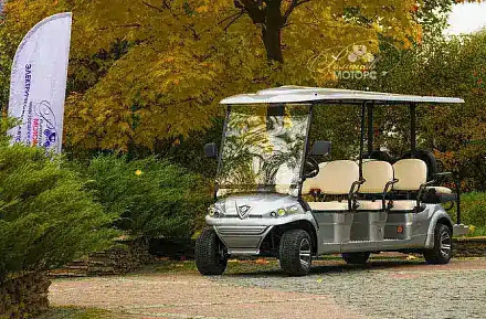 ГОЛЬФКАР КОНКОРДИЯ ГК6+2 С ПЛОЩАДКОЙ ГОРНЫЙ ГИД