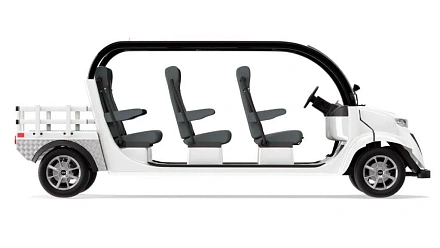 Гольфкар Elecar 5E-TIGARBO 6G