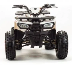 Квадроцикл Motoland 125 WILD (2020 г.)