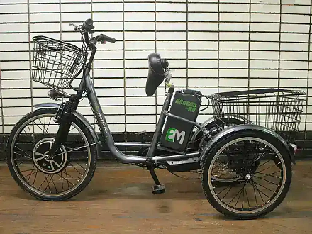 Трехколесный электровелосипед E-motions KANGOO-RU 700