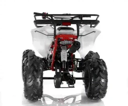 Квадроцикл MOTAX ATV Raptor LUX 125 сс