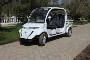 Гольфкар Elecar 5E-TIGARBO 4G